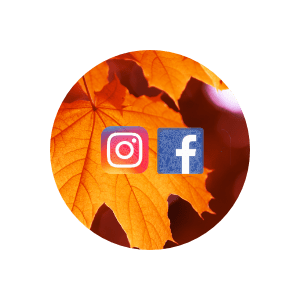 Social+Digital Fall